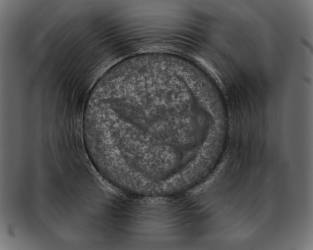 X0000091911041200710031015