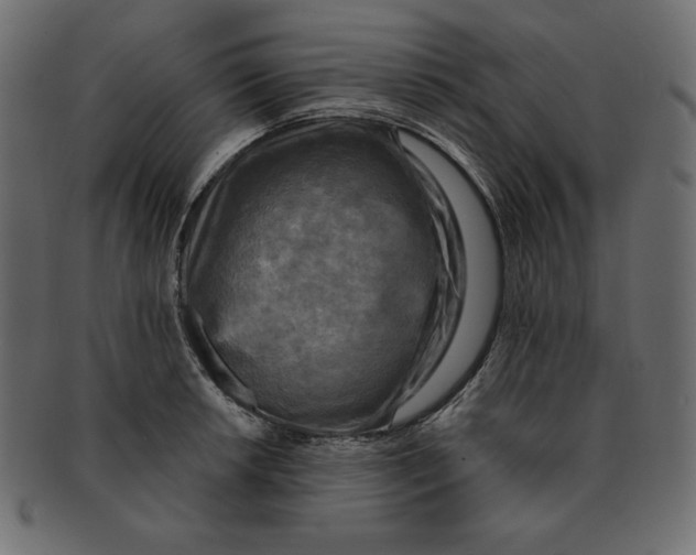 X0000091911042200710031015