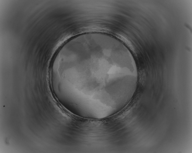 X0000091911043200710031015