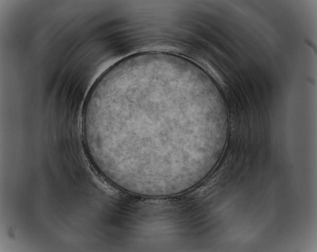 X0000091911044200710031015