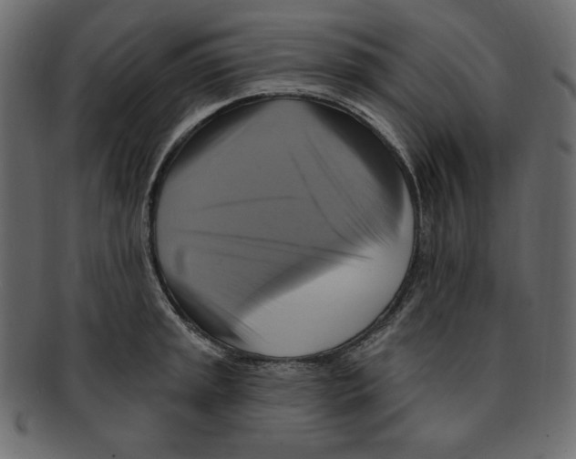 X0000091911045200710031015