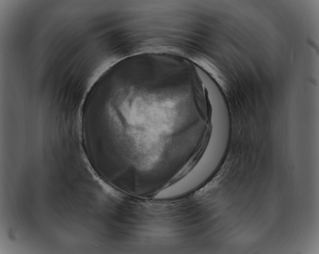 X0000091911046200710031015