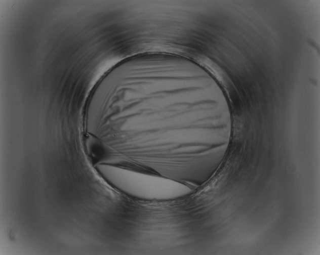 X0000091911048200710031015