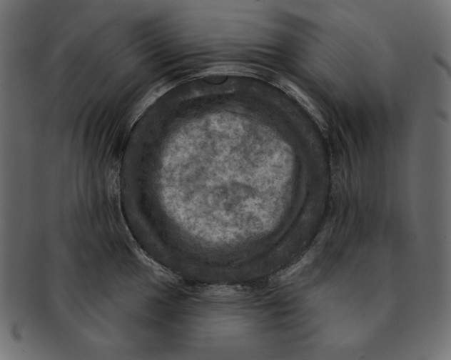 X0000091911049200710031015