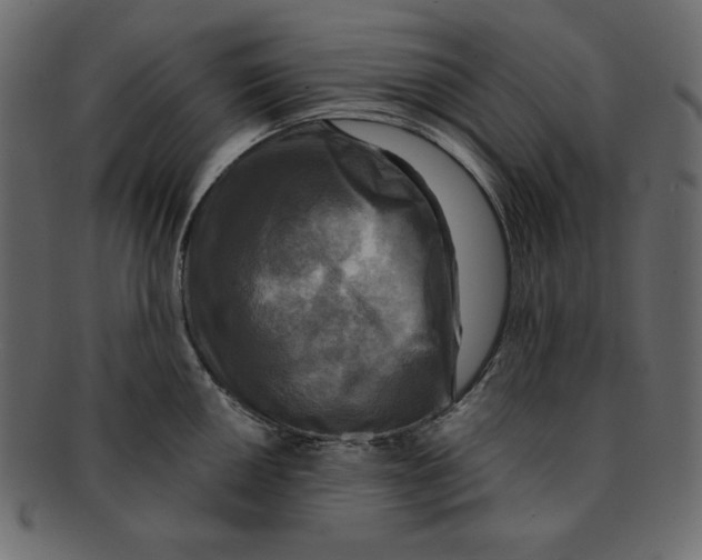 X0000091911050200710031015