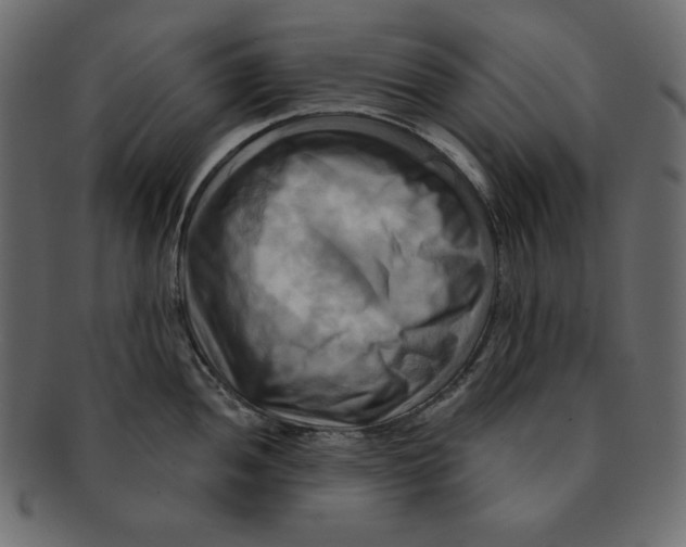 X0000091911052200710031015