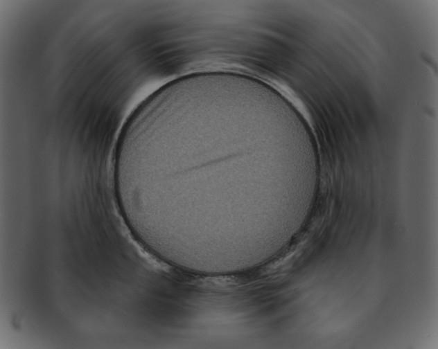 X0000091911053200710031015