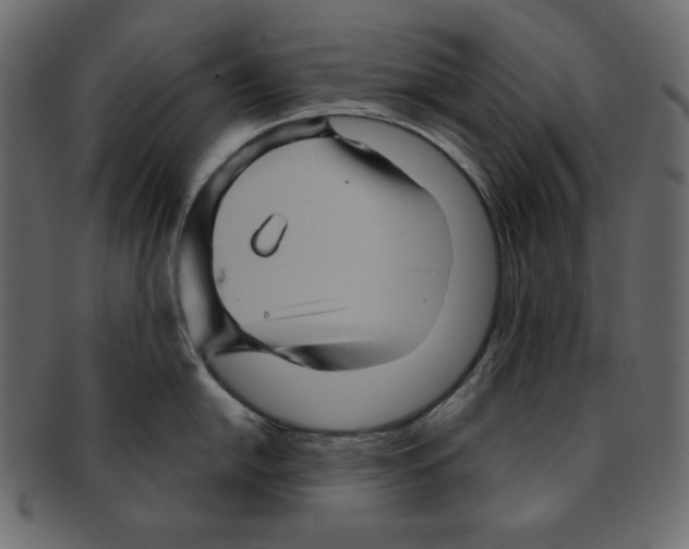 X0000091911054200710031015