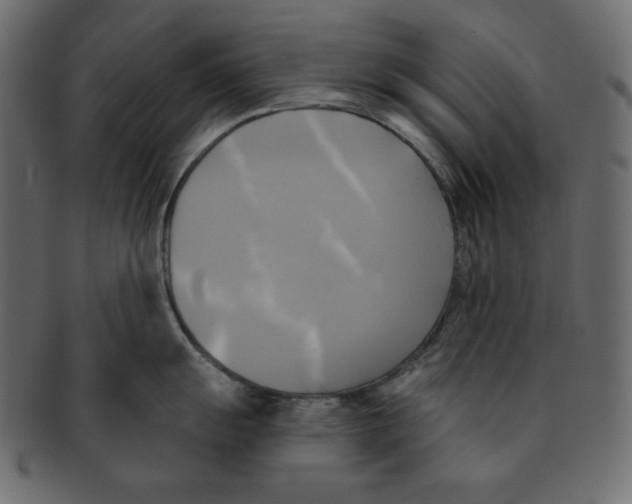 X0000091911055200710031015