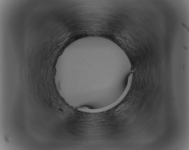 X0000091911057200710031015