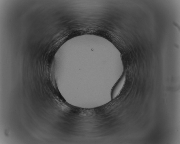 X0000091911058200710031015