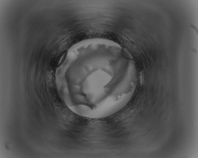 X0000091911059200710031015