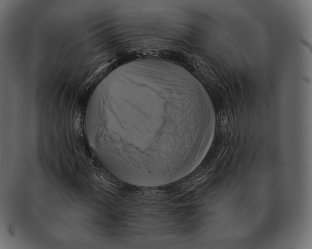 X0000091911060200710031015