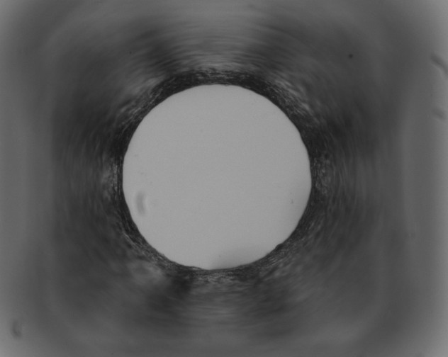 X0000091911061200710031015