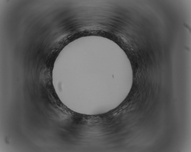 X0000091911062200710031015