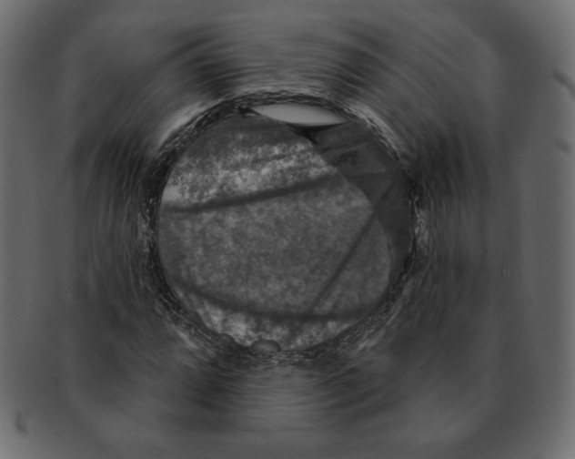 X0000091911064200710031015