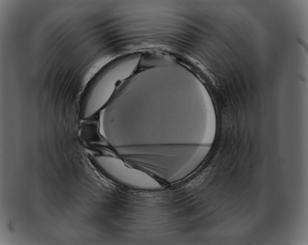 X0000091911066200710031015