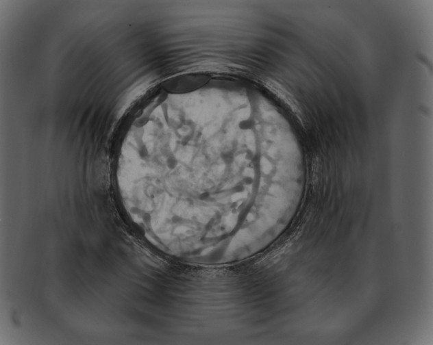 X0000091911067200710031015