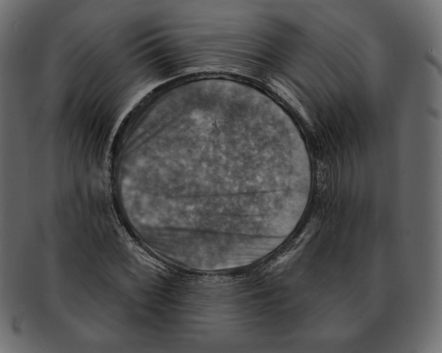 X0000091911068200710031015