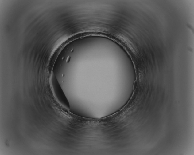 X0000091911069200710031015