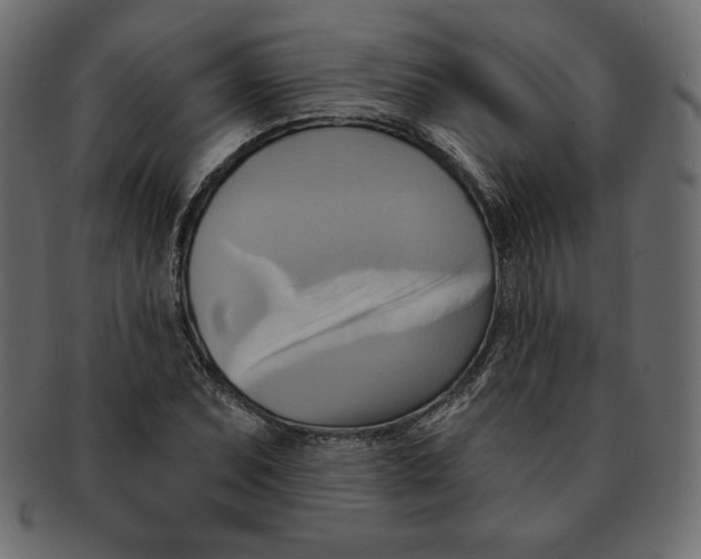 X0000091911071200710031014