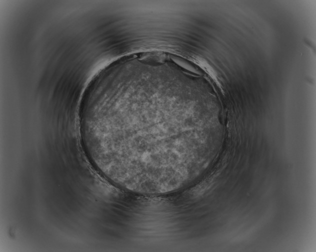 X0000091911072200710031014