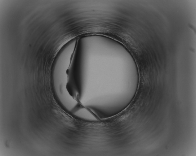 X0000091911073200710031014