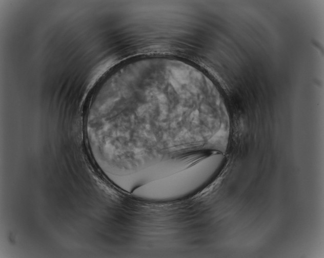 X0000091911075200710031014