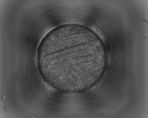 X0000091911076200710031014