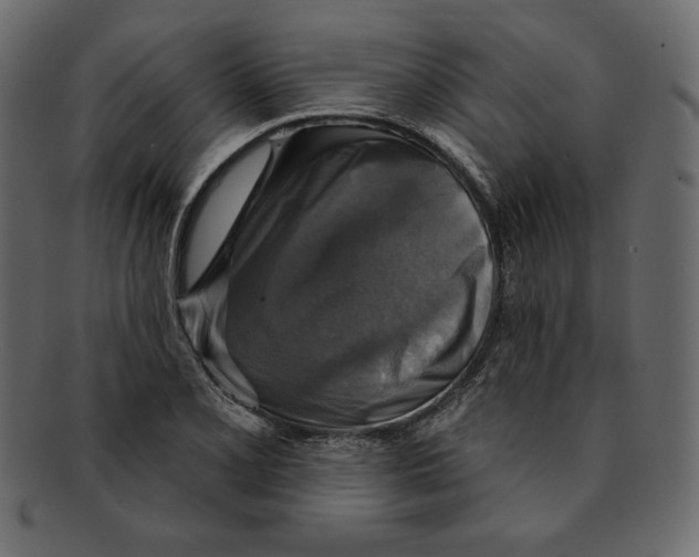 X0000091911077200710031014