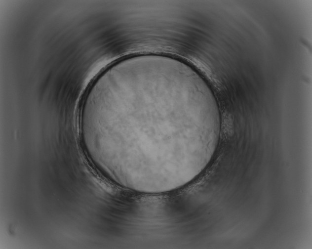 X0000091911078200710031014