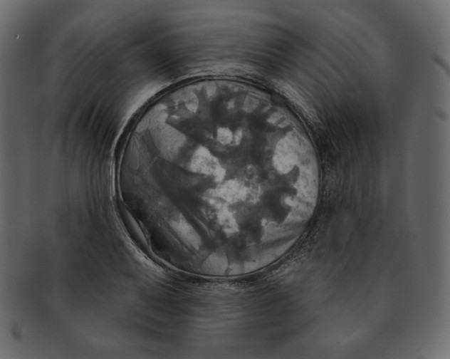 X0000091911079200710031014