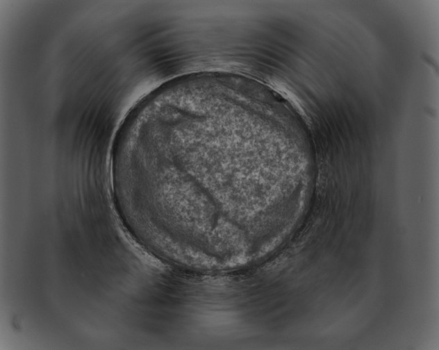 X0000091911080200710031014