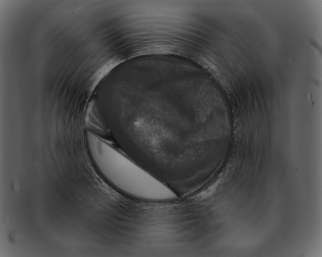 X0000091911081200710031014