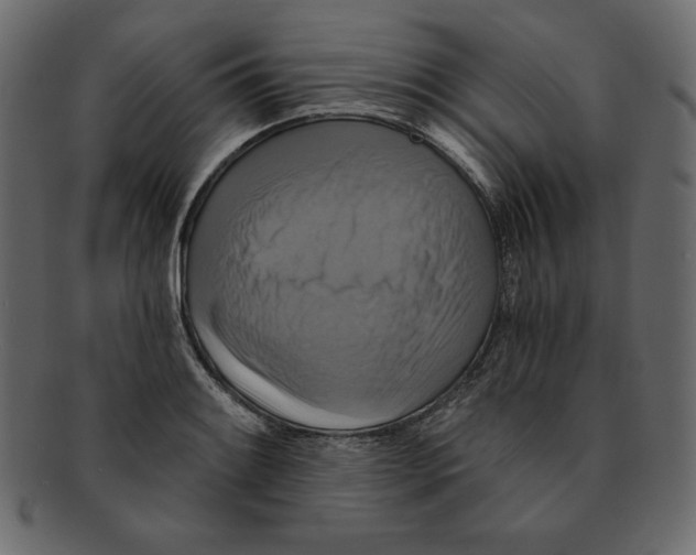 X0000091911084200710031014