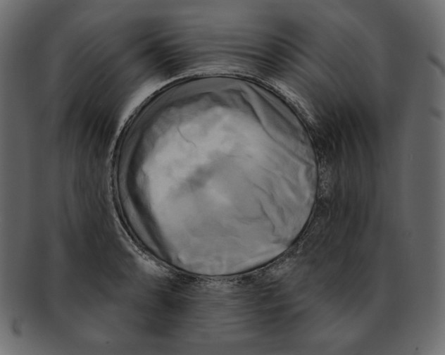 X0000091911086200710031014