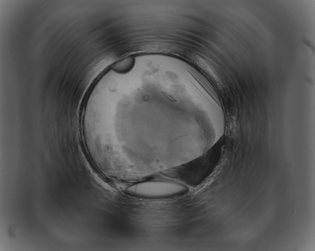 X0000091911087200710031014