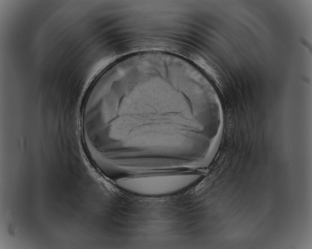 X0000091911088200710031014