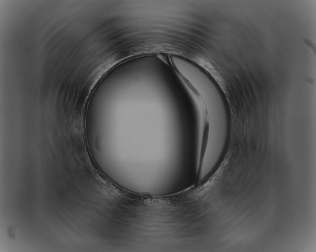 X0000091911089200710031014