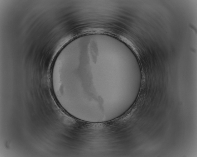 X0000091911090200710031014