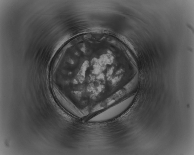 X0000091911091200710031014