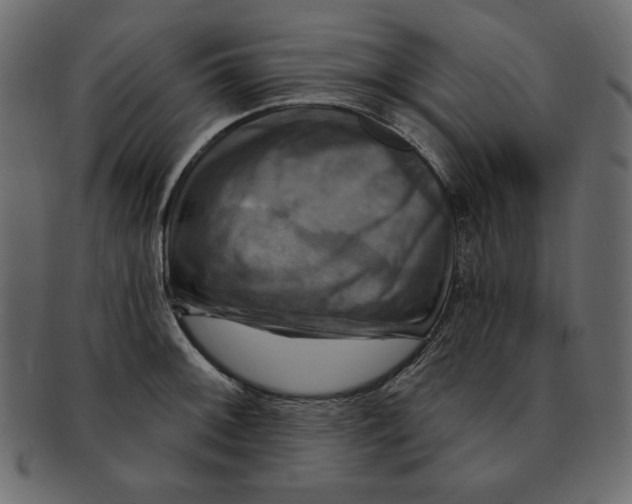 X0000091911092200710031014