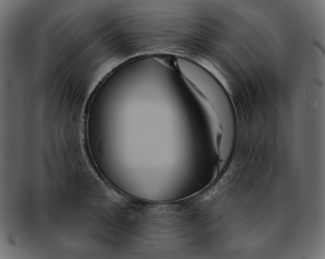 X0000091911093200710031014