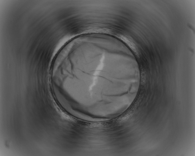 X0000091911094200710031014