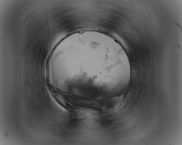 X0000091911095200710031014