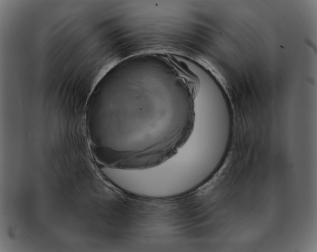 X0000091911097200710031014