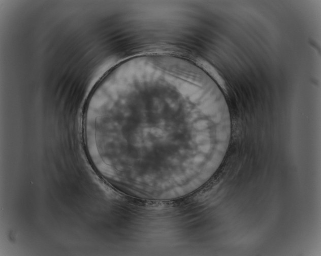 X0000091911099200710031014