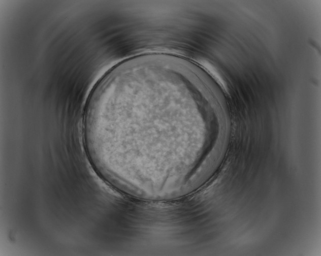 X0000091911100200710031014