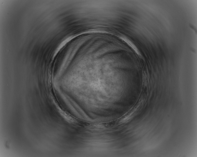 X0000091911101200710031014