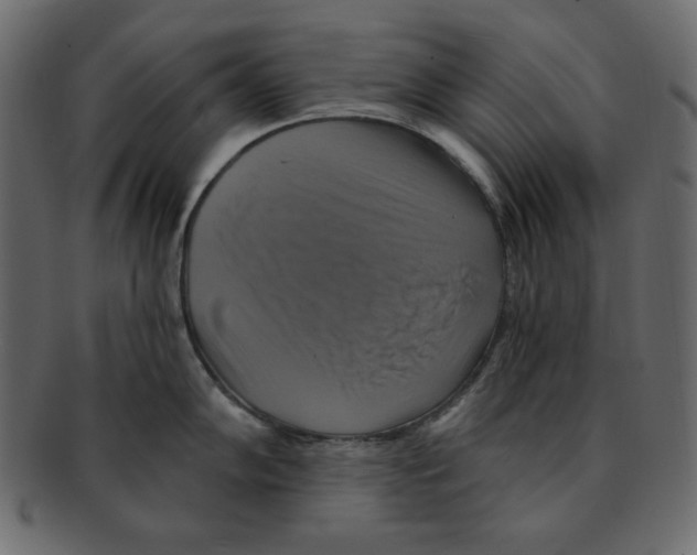 X0000091911102200710031014